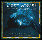 deep voices of blue, right and humpback whales